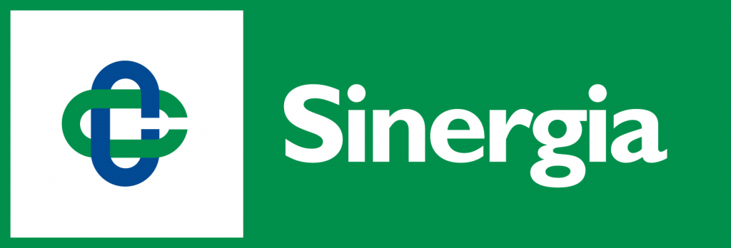 read the full sinergia case study