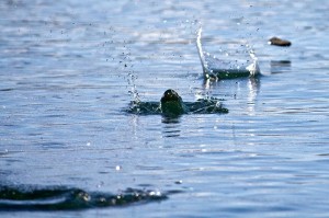 stone skimming